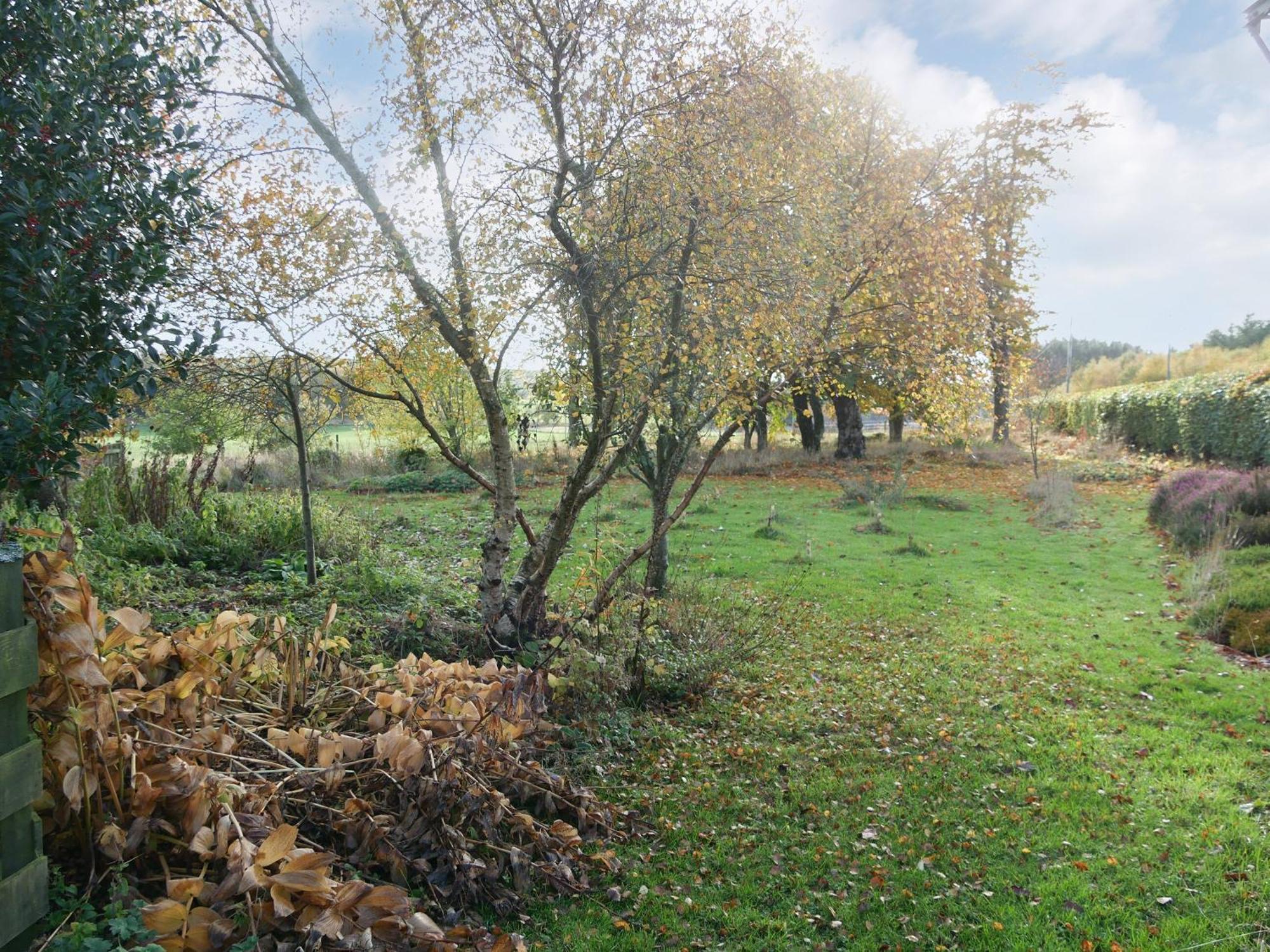 Villa Redroofs By The Woods - Uk41559 Letham Exterior foto